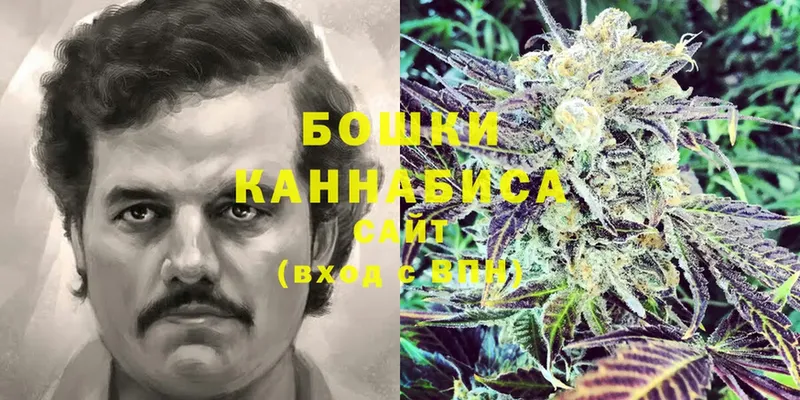 Конопля THC 21%  купить  цена  Микунь 